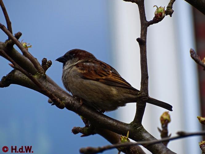 Op onze plaats 23-3-2023 