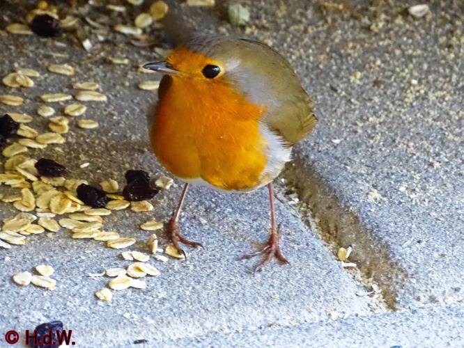 Op onze plaats 23-3-2023 