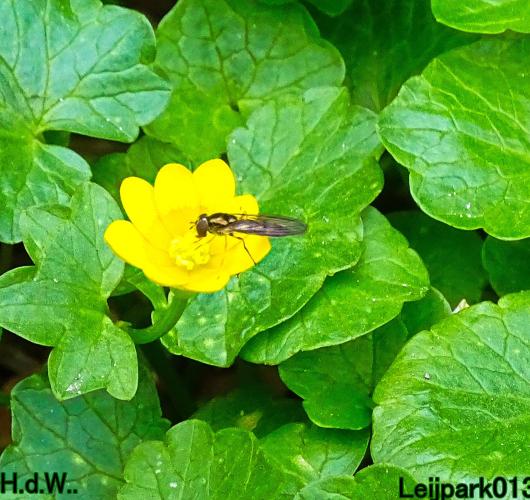 Leijpark013  11 &amp; 12 &amp; 13 &amp; 14 april 2023 