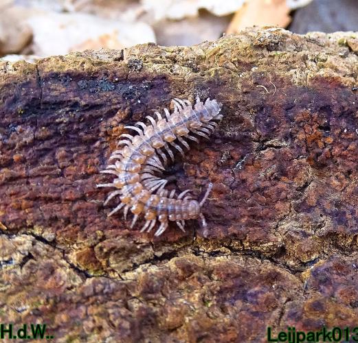 Leijpark013  11 &amp; 12 &amp; 13 &amp; 14 april 2023 