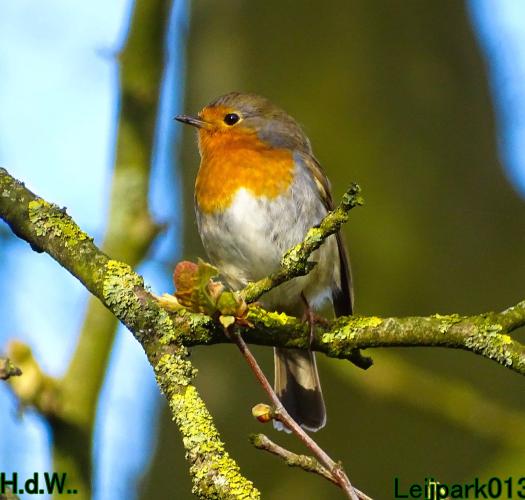 Leijpark013  11 &amp; 12 &amp; 13 &amp; 14 april 2023 