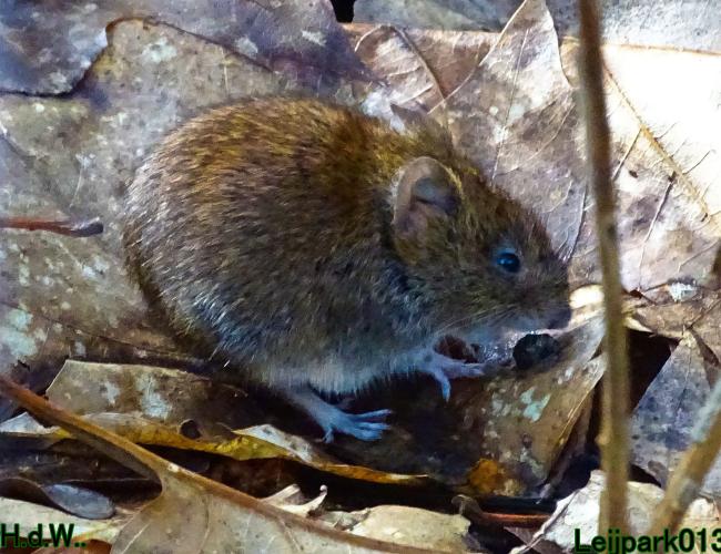 Leijpark013  11 &amp; 12 &amp; 13 &amp; 14 april 2023 