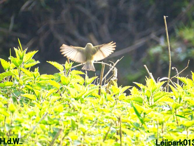 Leijpark013  11 &amp; 12 &amp; 13 &amp; 14 april 2023 