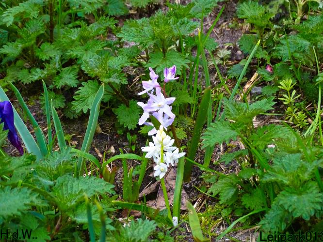 Leijpark013  11 &amp; 12 &amp; 13 &amp; 14 april 2023 