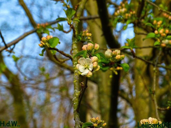 Leijpark013  11 &amp; 12 &amp; 13 &amp; 14 april 2023 