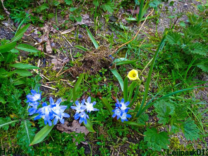 Leijpark013  11 &amp; 12 &amp; 13 &amp; 14 april 2023 