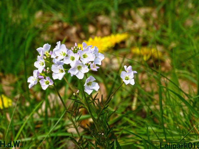 Leijpark013   19 &amp; 20 &amp; 21 &amp; 22 april 2023 
