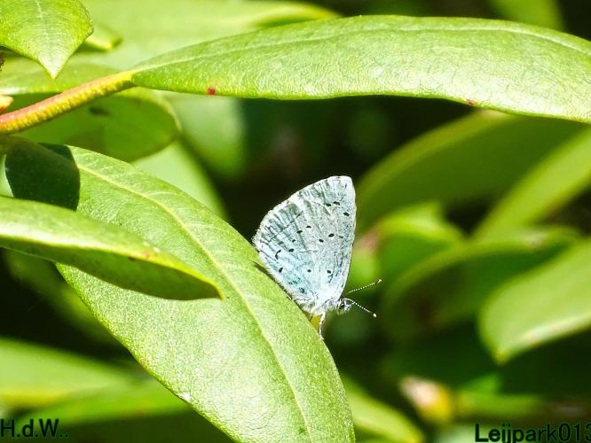 Leijpark013   19 &amp; 20 &amp; 21 &amp; 22 april 2023 