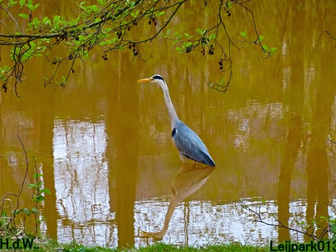 Leijpark013   19 &amp; 20 &amp; 21 &amp; 22 april 2023 