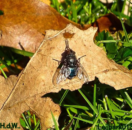 Leijpark013   19 &amp; 20 &amp; 21 &amp; 22 april 2023 