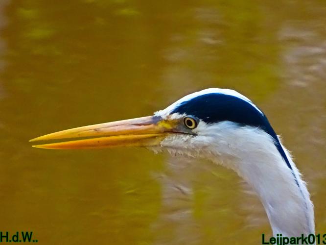 Leijpark013   19 &amp; 20 &amp; 21 &amp; 22 april 2023 