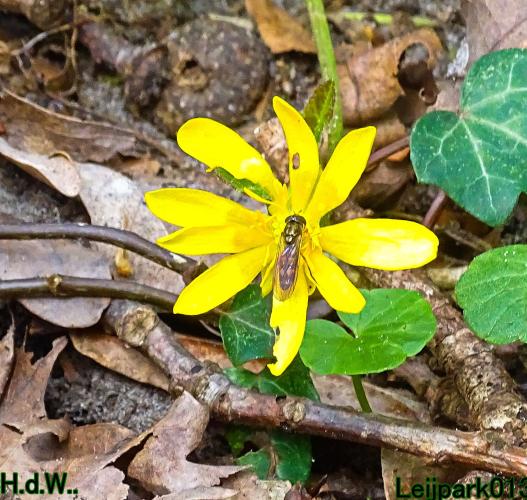 Leijpark013   19 &amp; 20 &amp; 21 &amp; 22 april 2023 