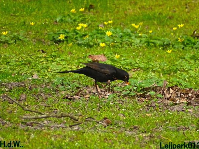 Leijpark013   19 &amp; 20 &amp; 21 &amp; 22 april 2023 