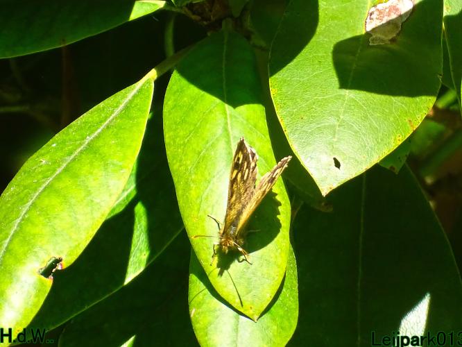 Leijpark013   19 &amp; 20 &amp; 21 &amp; 22 april 2023 