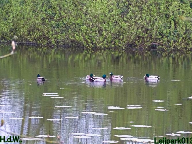 Leijpark013   19 &amp; 20 &amp; 21 &amp; 22 april 2023 