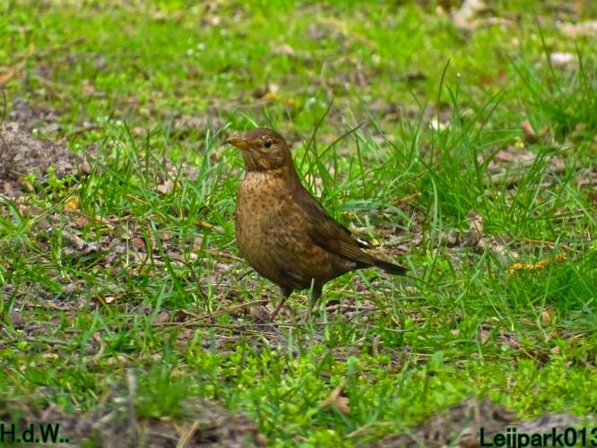 Leijpark013   19 &amp; 20 &amp; 21 &amp; 22 april 2023 