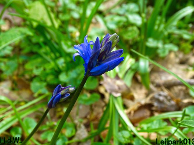 Leijpark013   19 &amp; 20 &amp; 21 &amp; 22 april 2023 