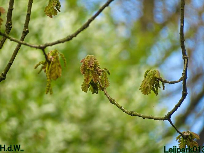 Leijpark013   19 &amp; 20 &amp; 21 &amp; 22 april 2023 