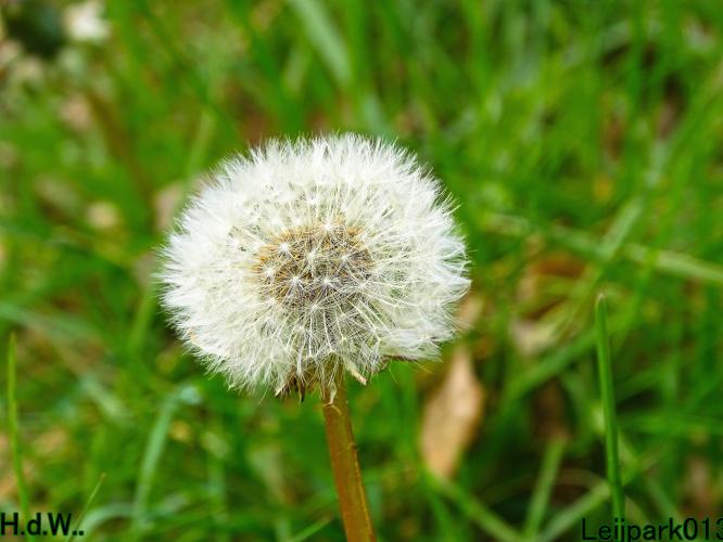 Leijpark013   19 &amp; 20 &amp; 21 &amp; 22 april 2023 