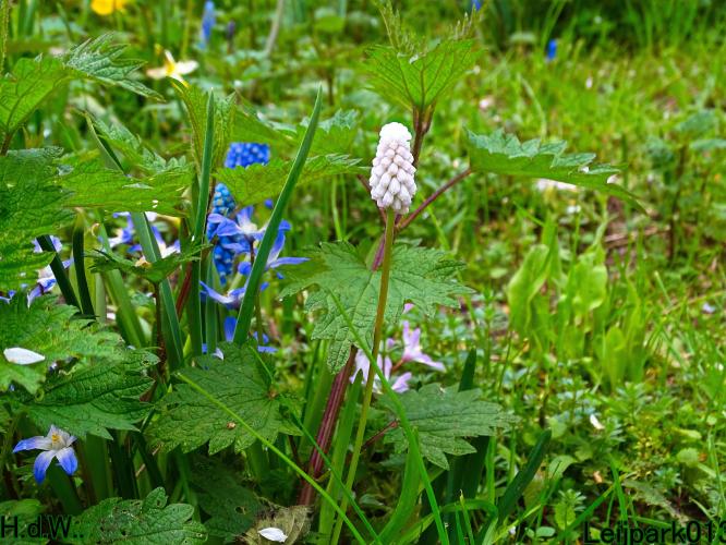 Leijpark013   19 &amp; 20 &amp; 21 &amp; 22 april 2023 