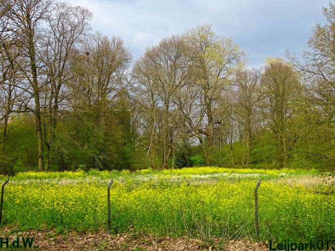 Leijpark013   19 &amp; 20 &amp; 21 &amp; 22 april 2023 