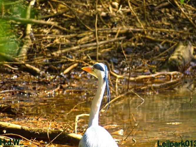 Leijpark013   19 &amp; 20 &amp; 21 &amp; 22 april 2023 