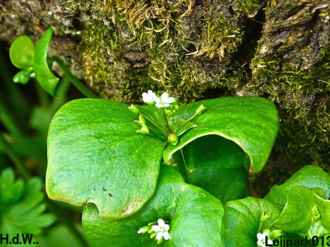 Leijpark013   19 &amp; 20 &amp; 21 &amp; 22 april 2023 