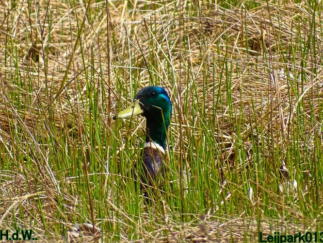 Leijpark013   19 &amp; 20 &amp; 21 &amp; 22 april 2023 