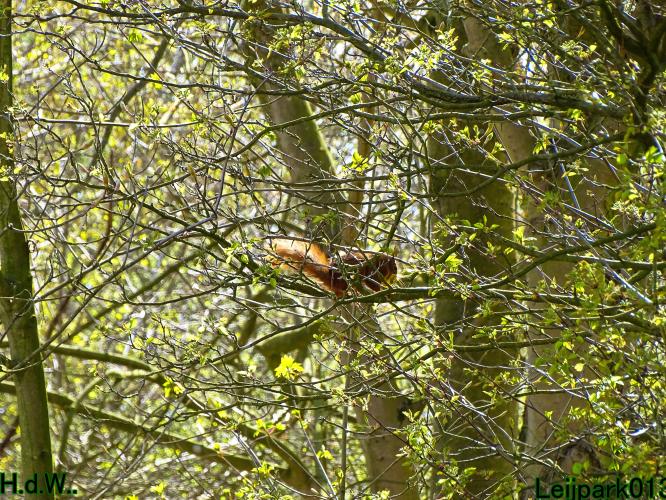 Leijpark013   19 &amp; 20 &amp; 21 &amp; 22 april 2023 