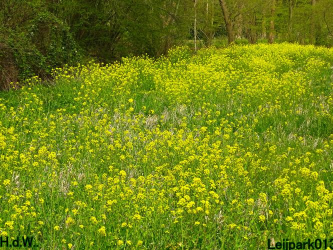 Leijpark013   19 &amp; 20 &amp; 21 &amp; 22 april 2023 