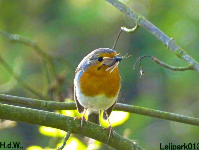 Leijpark013  23 &amp; 24 &amp; 25 &amp; 26 april 2023 