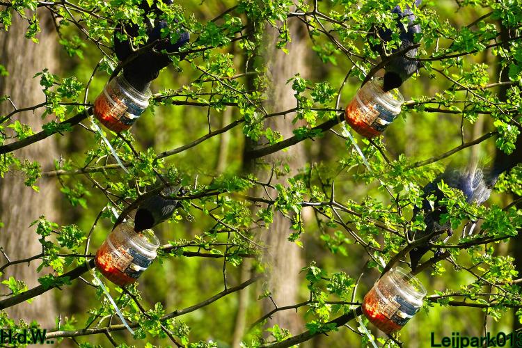 Leijpark013  23 &amp; 24 &amp; 25 &amp; 26 april 2023 