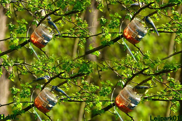 Leijpark013  23 &amp; 24 &amp; 25 &amp; 26 april 2023 