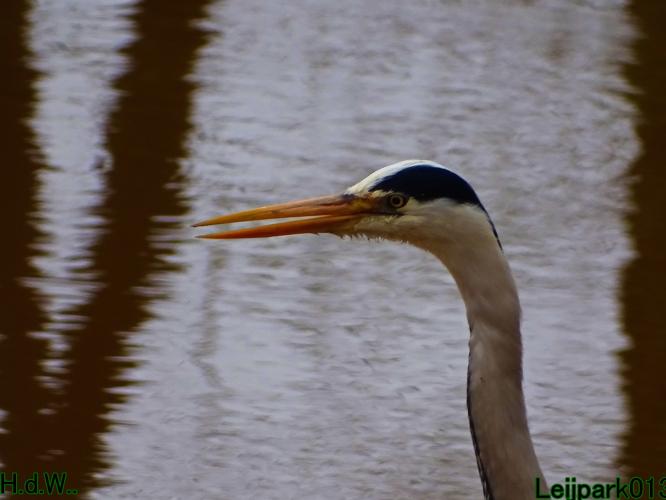 Leijpark013  23 &amp; 24 &amp; 25 &amp; 26 april 2023 