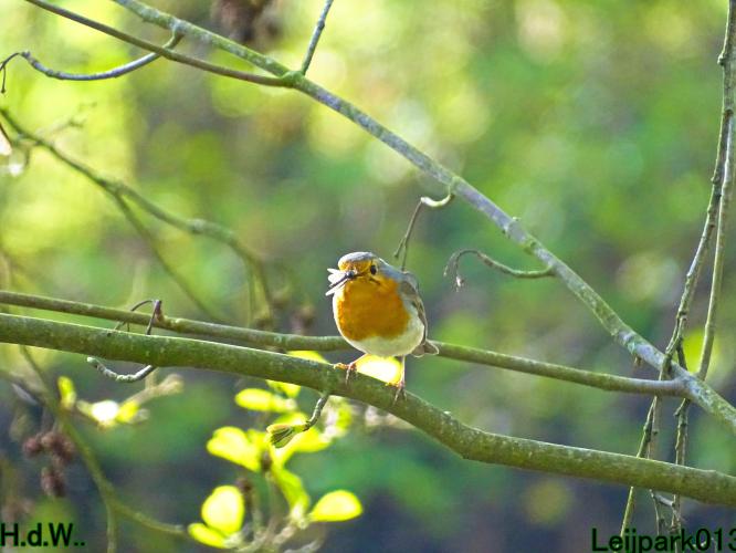 Leijpark013  23 &amp; 24 &amp; 25 &amp; 26 april 2023 