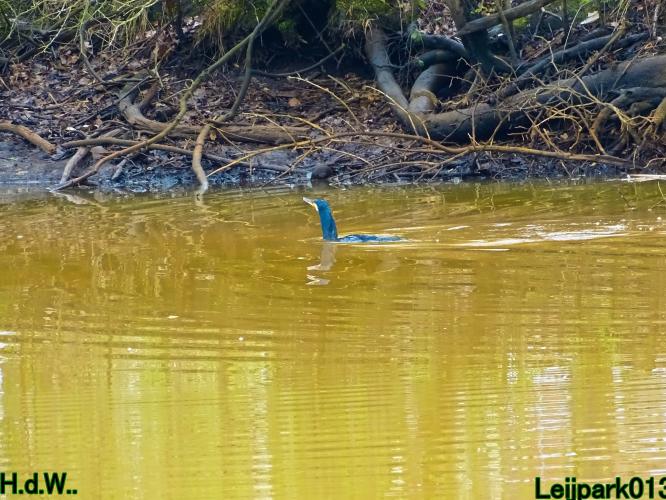 Leijpark013  23 &amp; 24 &amp; 25 &amp; 26 april 2023 