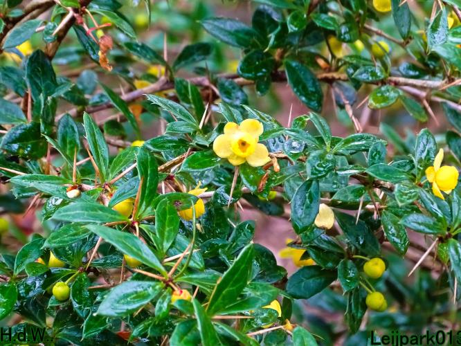 Leijpark013  23 &amp; 24 &amp; 25 &amp; 26 april 2023 