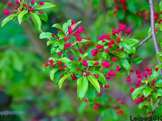 Leijpark013  23 &amp; 24 &amp; 25 &amp; 26 april 2023 