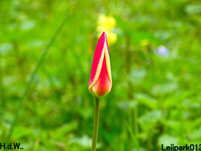 Leijpark013  23 &amp; 24 &amp; 25 &amp; 26 april 2023 