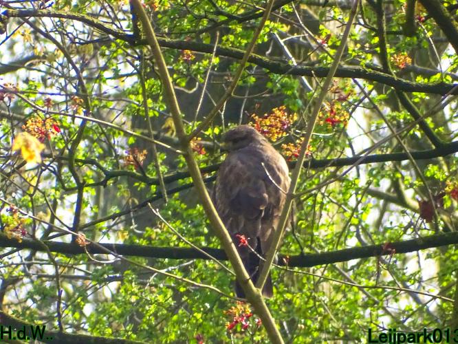 Leijpark013  23 &amp; 24 &amp; 25 &amp; 26 april 2023 