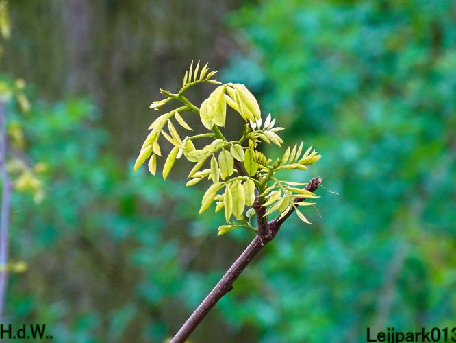 Leijpark013  23 &amp; 24 &amp; 25 &amp; 26 april 2023 