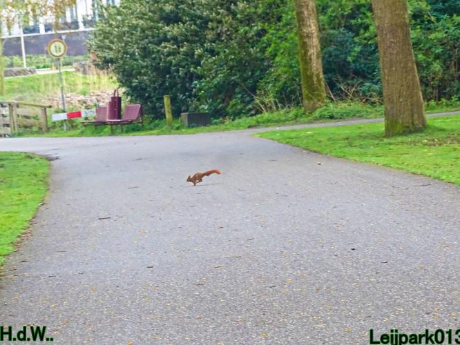 Leijpark013  23 &amp; 24 &amp; 25 &amp; 26 april 2023 