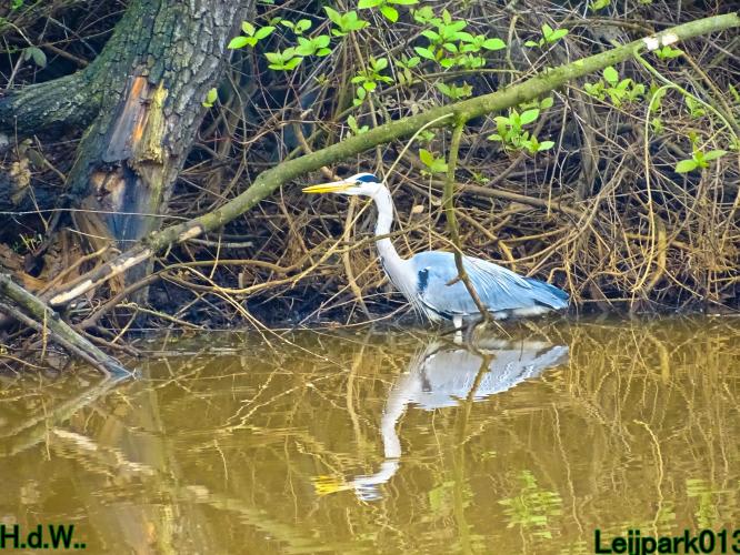 Leijpark013  23 &amp; 24 &amp; 25 &amp; 26 april 2023 