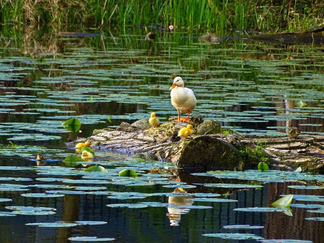 Leijpark013  23 &amp; 24 &amp; 25 &amp; 26 april 2023 