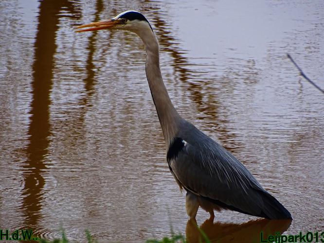 Leijpark013  23 &amp; 24 &amp; 25 &amp; 26 april 2023 