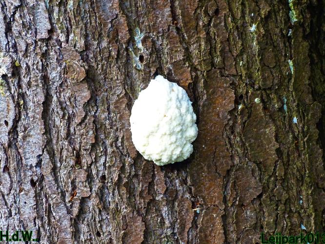 Leijpark013  23 &amp; 24 &amp; 25 &amp; 26 april 2023 