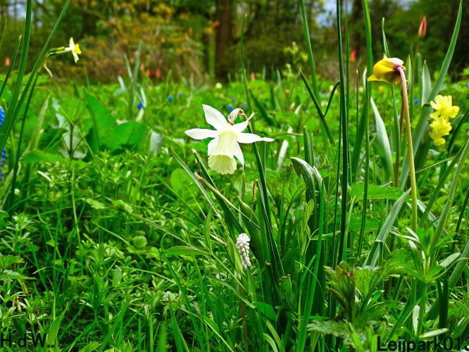 Leijpark013  23 &amp; 24 &amp; 25 &amp; 26 april 2023 