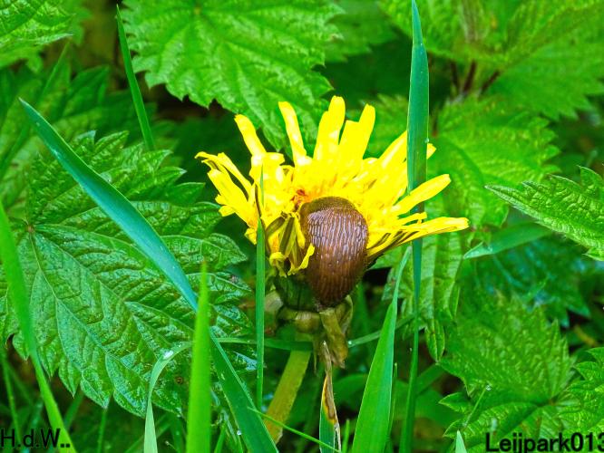 Leijpark013  23 &amp; 24 &amp; 25 &amp; 26 april 2023 