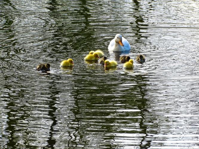 Leijpark013  23 &amp; 24 &amp; 25 &amp; 26 april 2023 