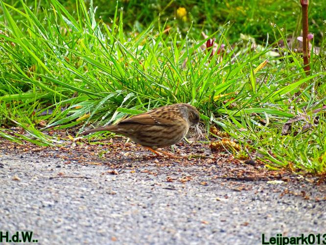 Leijpark013  23 &amp; 24 &amp; 25 &amp; 26 april 2023 